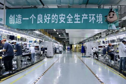跨越1900公里奔赴 蓬江智能家電五公里產業圈，藏著大灣區發展底氣
